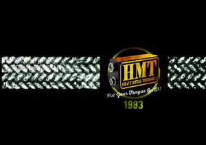HMT 1983 Gold Logo Bikini Top
